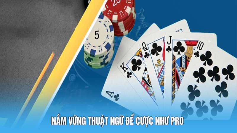 Kinh Nghiệm Thực Chiến Cách Chơi Xì Dách Năm 2024 4 Nắm vững thuật ngữ để cược như Pro